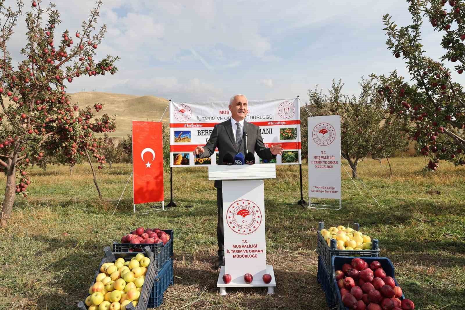 Aromasını gece ve gündüz arasındaki sıcaklık farkından alan elmanın hasadı yapıldı