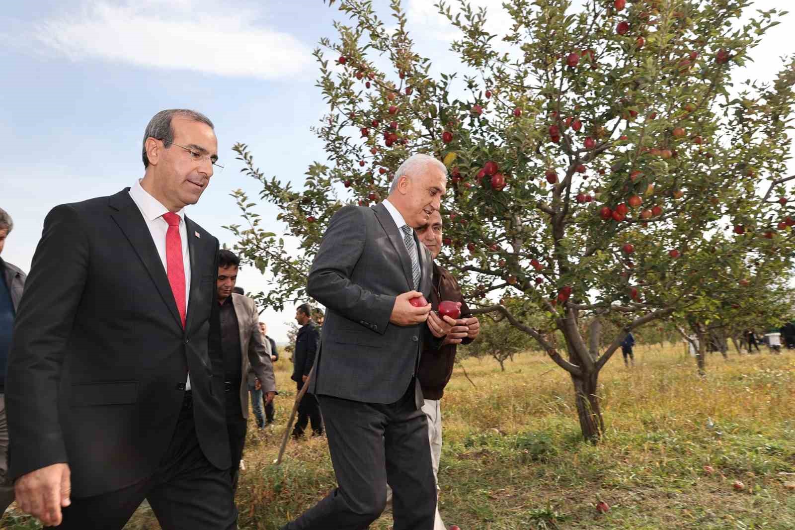 Aromasını gece ve gündüz arasındaki sıcaklık farkından alan elmanın hasadı yapıldı