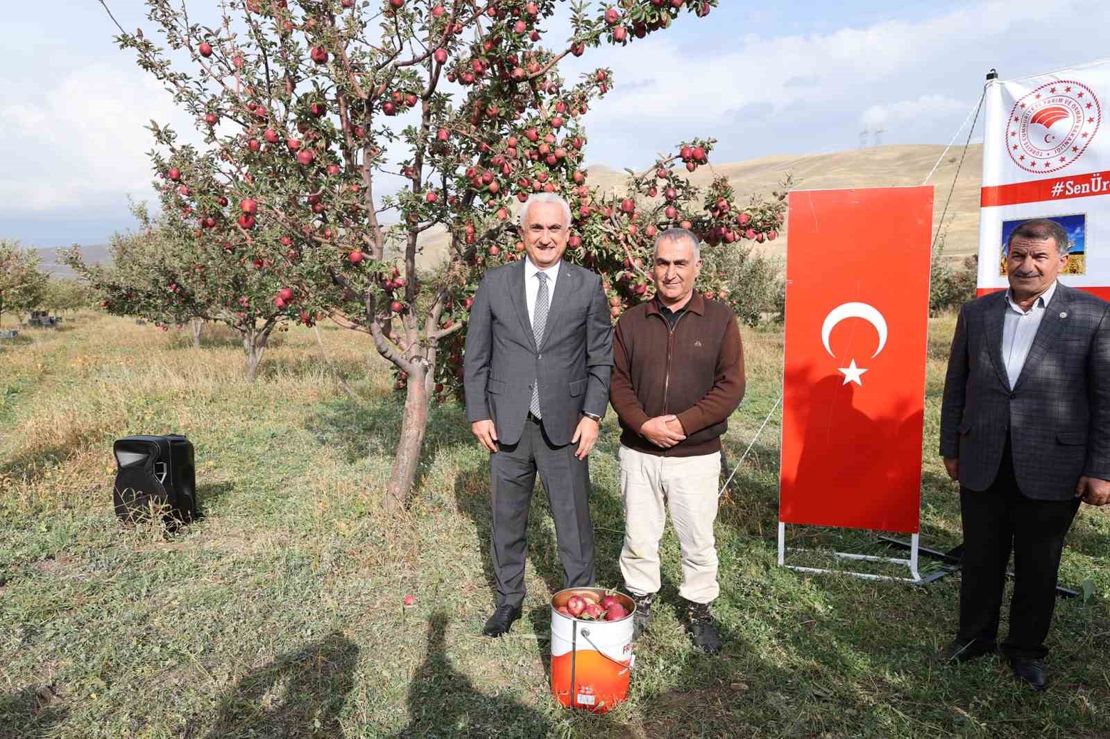 Aromasını gece ve gündüz arasındaki sıcaklık farkından alan elmanın hasadı yapıldı