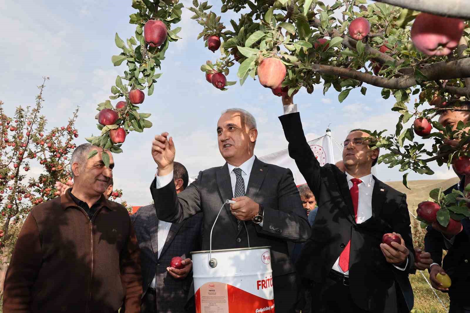 Aromasını gece ve gündüz arasındaki sıcaklık farkından alan elmanın hasadı yapıldı