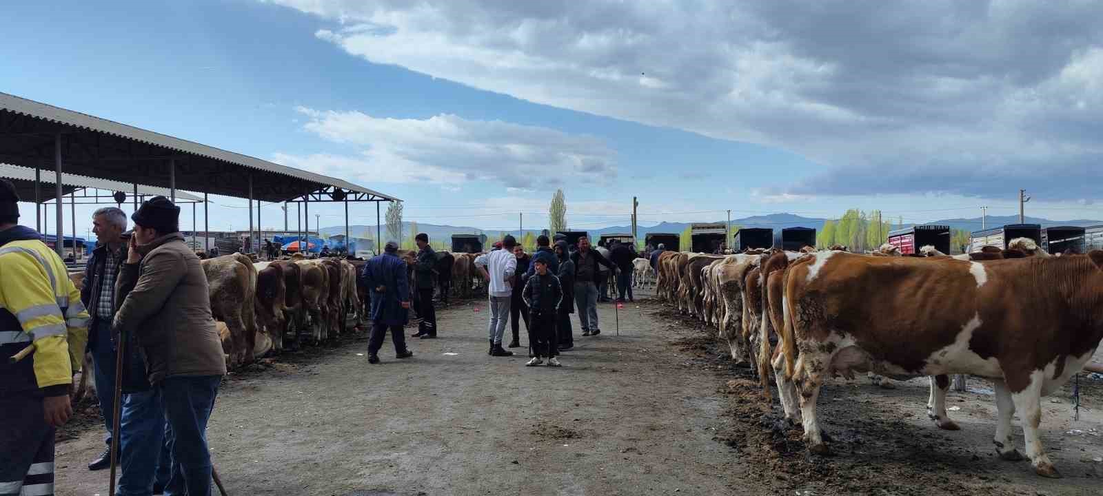 Şap hastalığı nedeniyle kapatılmıştı, tekrardan açılıyor