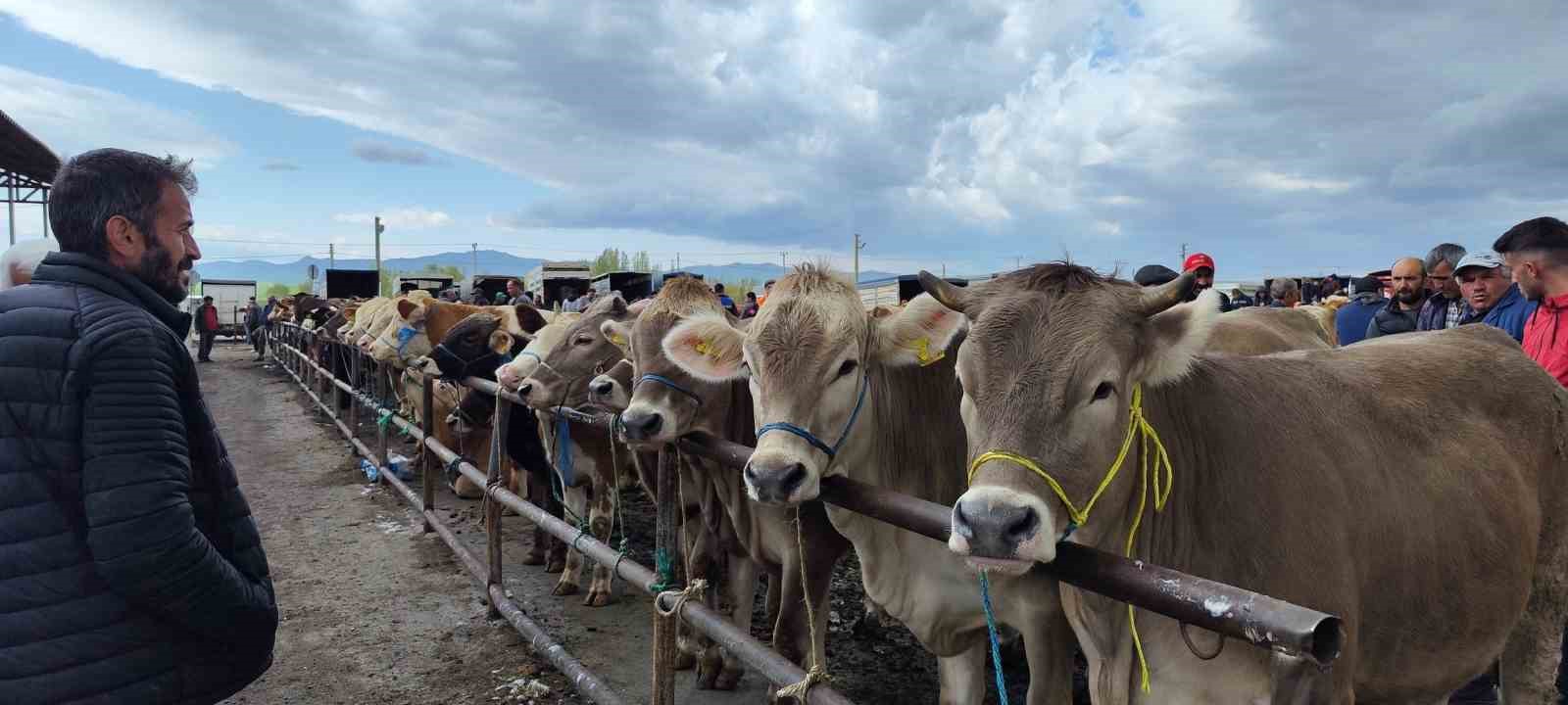 Şap hastalığı nedeniyle kapatılmıştı, tekrardan açılıyor