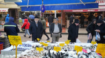 Gençlik iksiri kolajen sayesinde hamsiye olan ilgi arttı: Kadınlar eşlerinden hamsi istiyor