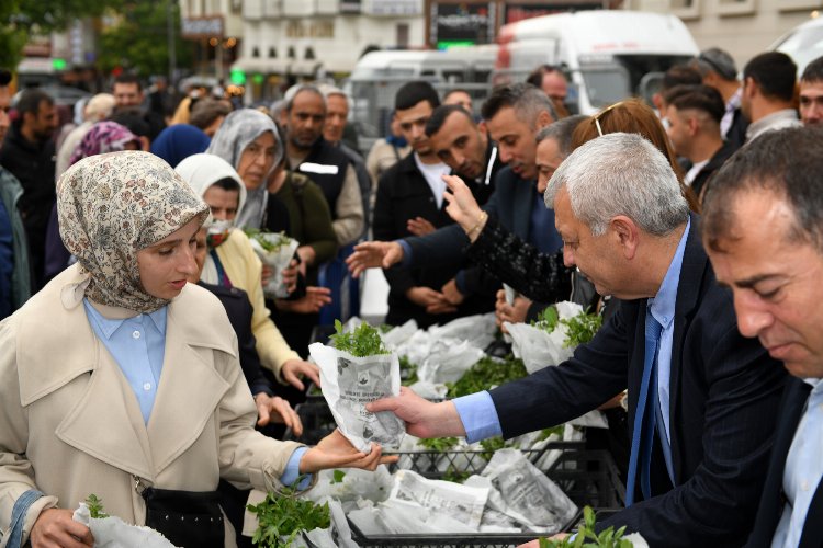 Ata tohumlarından üretilen fidelere büyük ilgi